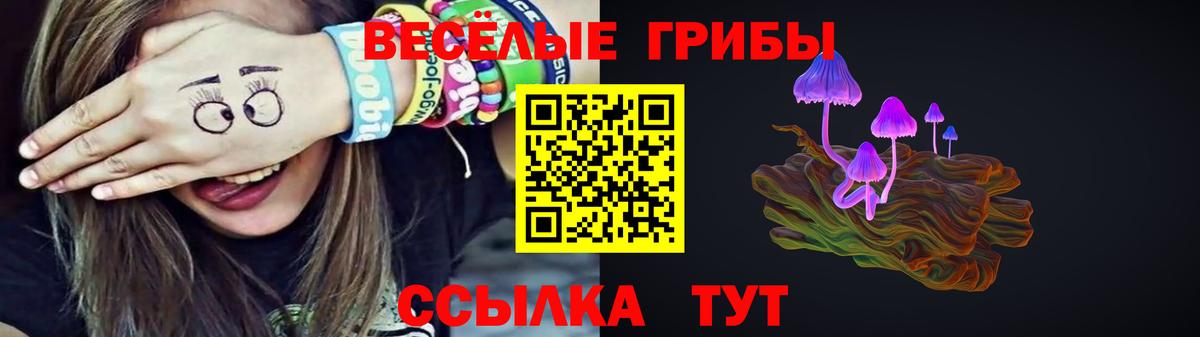 Лангепас  Псилоцибиновые грибы Psilocybine cubensis  Вход с VPN 